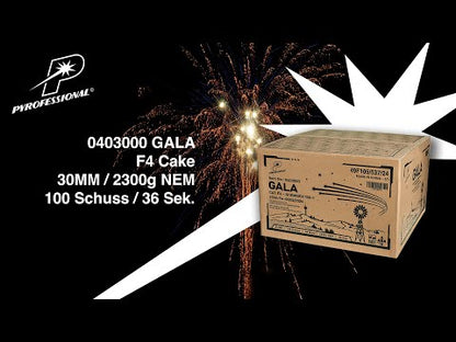 100 Schuss - GALA